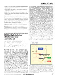 Multistability in the lactose utilization network of Escherichia coli