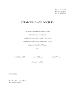 stem cells and society - Worcester Polytechnic Institute