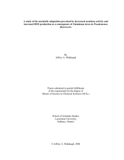 A study of the metabolic adaptation provoked by