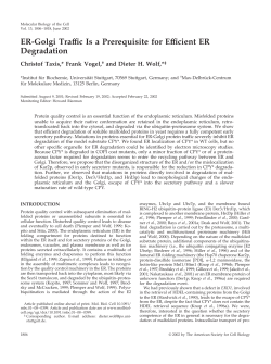 ER-Golgi Traffic Is a Prerequisite for Efficient ER Degradation
