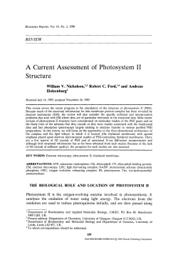 A current assessment of photosystem II structure