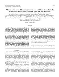 Condition-dependence of plumage colours