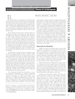 Biodiversity of plants and arthropods