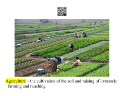 Agriculture &ndash; the cultivation of the soil and raising of livestock