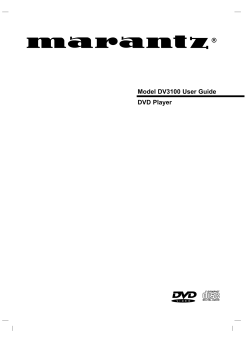 Model DV3100 User Guide DVD Player
