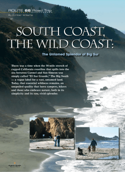 South CoaSt, the Wild CoaSt