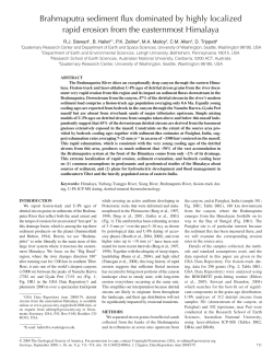 Brahmaputra sediment flux dominated by highly localized rapid