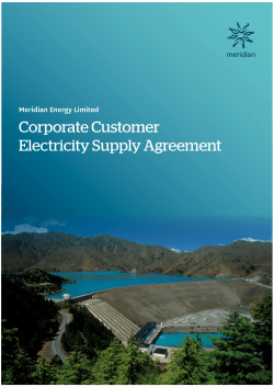 Corporate Customer Electricity Supply Agreement