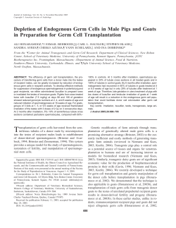 Depletion of Endogenous Germ Cells in Male