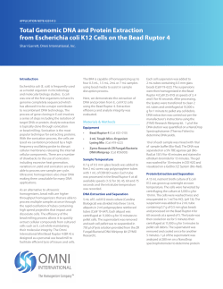 Total Genomic DNA and Protein Extraction from Escherichia coli