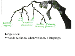Linguistics: What do we know when we know a language?