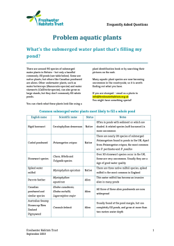 Problem aquatic plants - Freshwater Habitats Trust