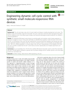 Engineering dynamic cell cycle control with synthetic small molecule