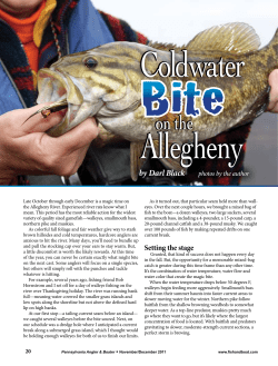 Coldwater Bite on the Allegheny