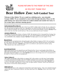 Bear Hollow Zoo: Self-Guided Tour - Athens