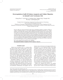 Downregulation of miR-222 Induces Apoptosis and Cellular