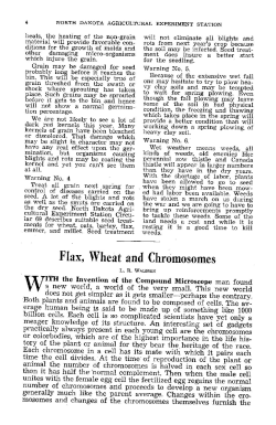 Flax, Wheat and Chromosomes