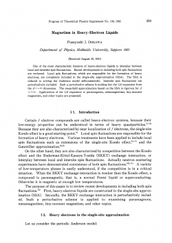 Magnetism in Heavy.Electron Liquids