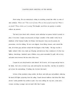 CHAPTER EIGHT (MEETING OF THE MINDS)