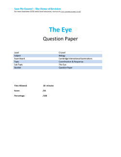 The Eye - SAVE MY EXAMS!