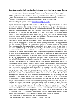 Investigation of anisole combustion in laminar premixed low