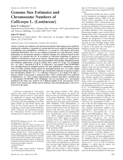 Genome Size Estimates and Chromosome Numbers of Callicarpa L