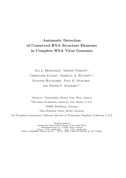 Automatic Detection of Conserved RNA Structure Elements in
