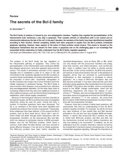 The secrets of the Bcl-2 family