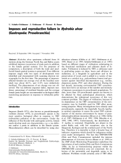 Imposex and reproductive failure in Hydrobia ulvae (Gastropoda