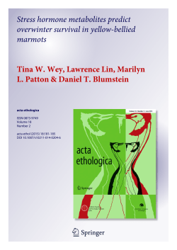 pdf available