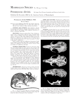 Peromyscus slevini