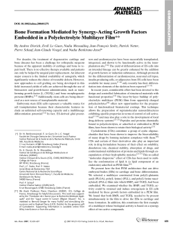 Bone Formation Mediated by Synergy