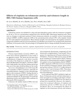Effects of cisplatin on telomerase activity and telomere