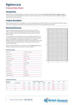 Product Data Sheet - Rigitone 8-18