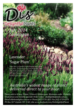 July 2014 Catalogue - Di`s Delightful Plants