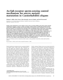 An Eph receptor sperm-sensing control