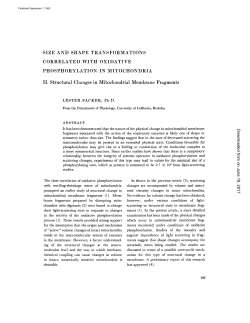 SIZE AND SHAPE TRANSFORMATIONS CORRELATED WITH