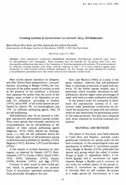 Maria Neysa Silva Stort and Elza Aparecida dos Santos Pavanelli