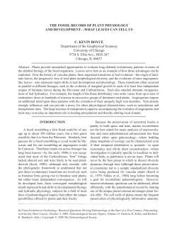 THE FOSSIL RECORD OF PLANT PHYSIOLOGY AND