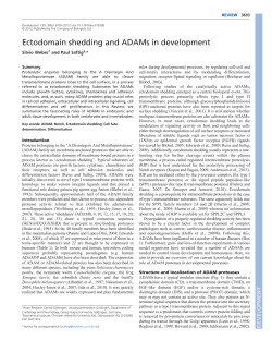 Ectodomain shedding and ADAMs in development