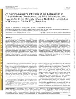 An Arginine/Glutamine Difference at the Juxtaposition of