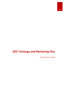 2017 Strategy and Marketing Plan