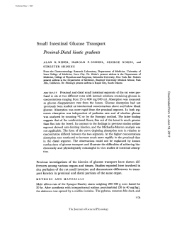 Small Intestinal Glucose Transport Proximal