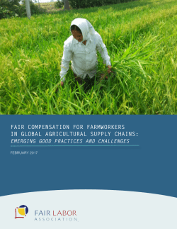 This report - Fair Labor Association