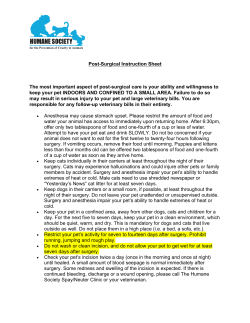 Post-Surgical Instruction - Humane Society of South Carolina