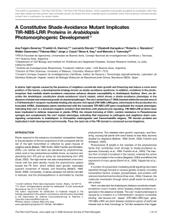 A Constitutive Shade-Avoidance Mutant Implicates TIR-NBS