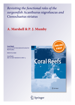 - Marine Spatial Ecology Lab