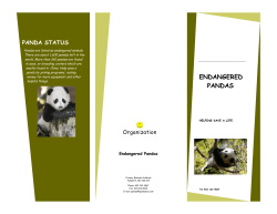 ENDANGERED PANDAS