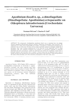 Full text in pdf format