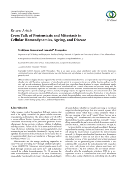 Cross Talk of Proteostasis and Mitostasis in Cellular